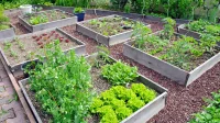 jardins
