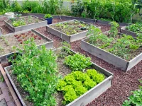 jardins